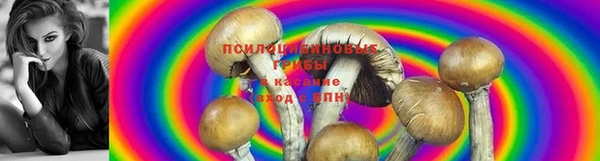 марихуана Богданович